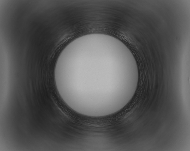 X0000086900744200705071243