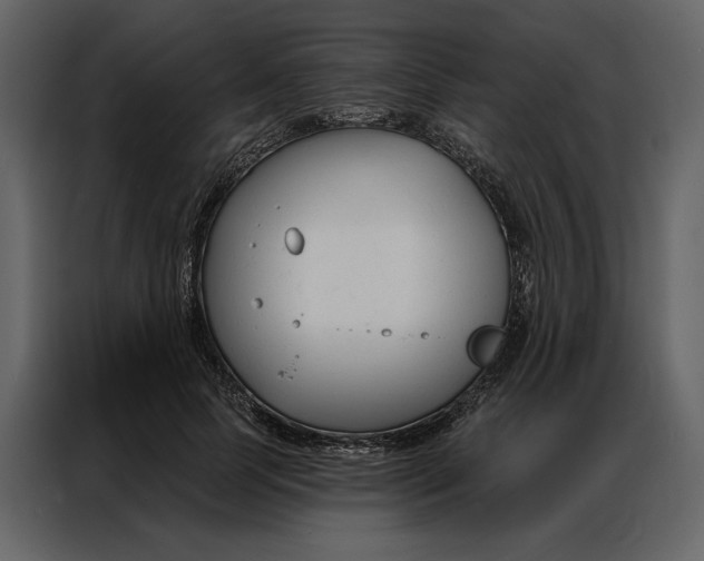 X0000086900745200705071243