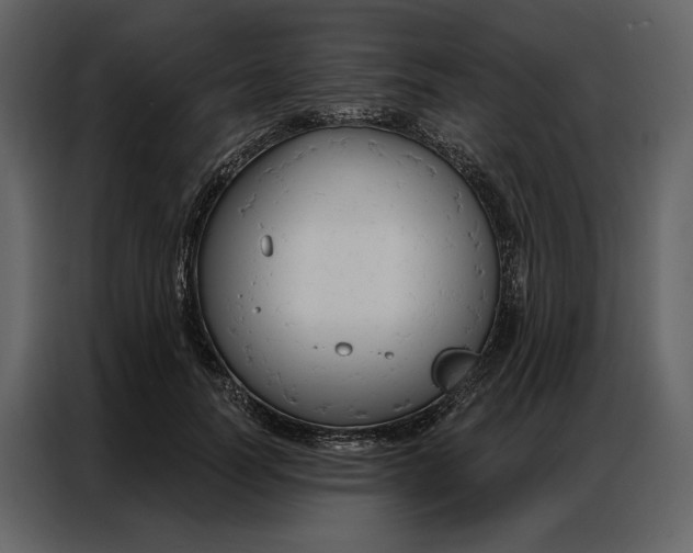 X0000086900746200705071243