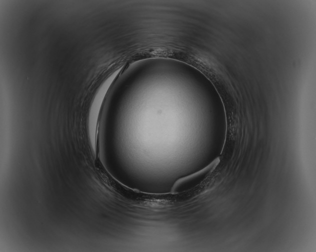 X0000086900748200705071243