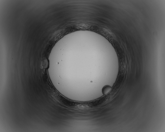 X0000086900749200705071243