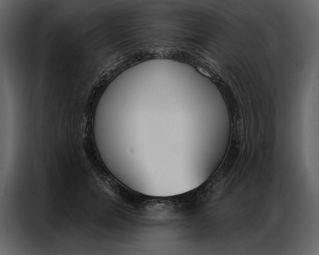 X0000086900750200705071243