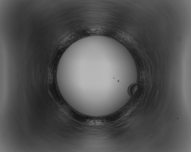 X0000086900751200705071243