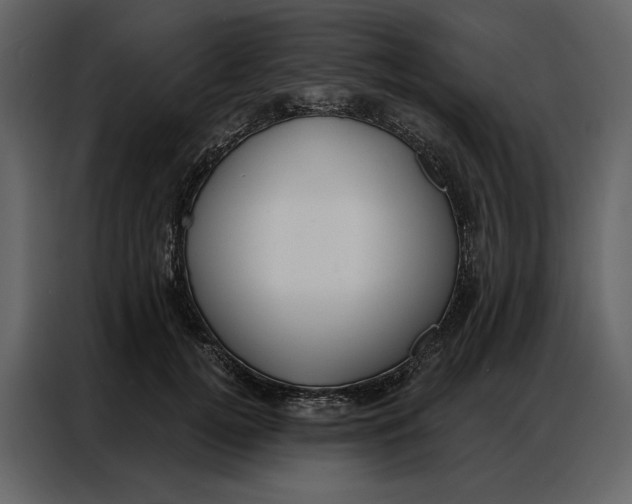 X0000086900752200705071243