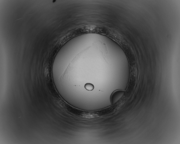 X0000086900754200705071243