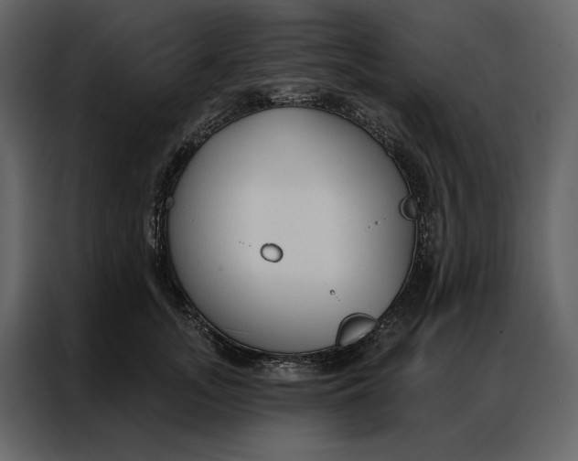 X0000086900755200705071243