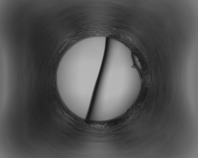 X0000086900756200705071243