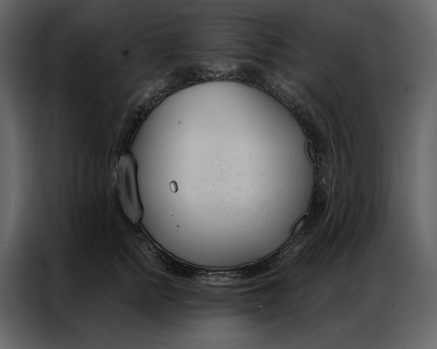 X0000086900758200705071243