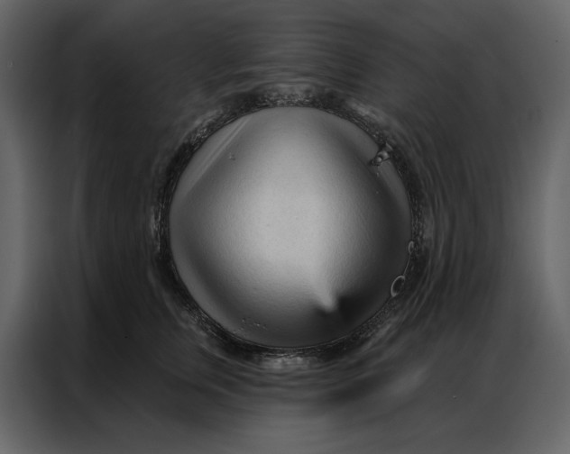 X0000086900759200705071243