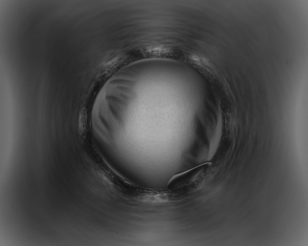 X0000086900760200705071243