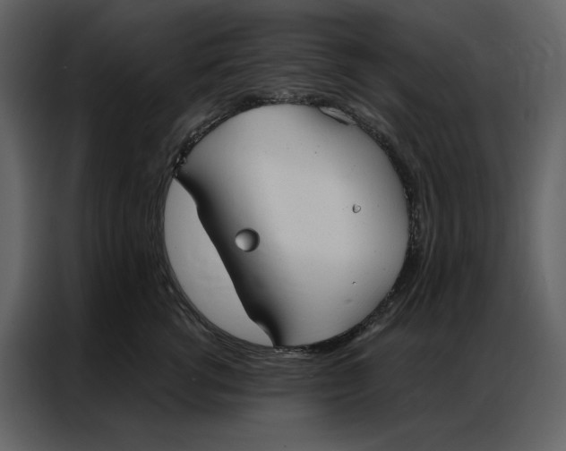 X0000086900762200705071243