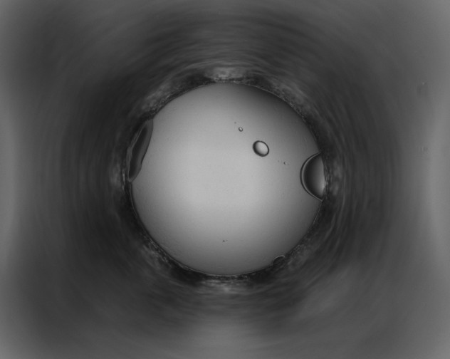 X0000086900763200705071243