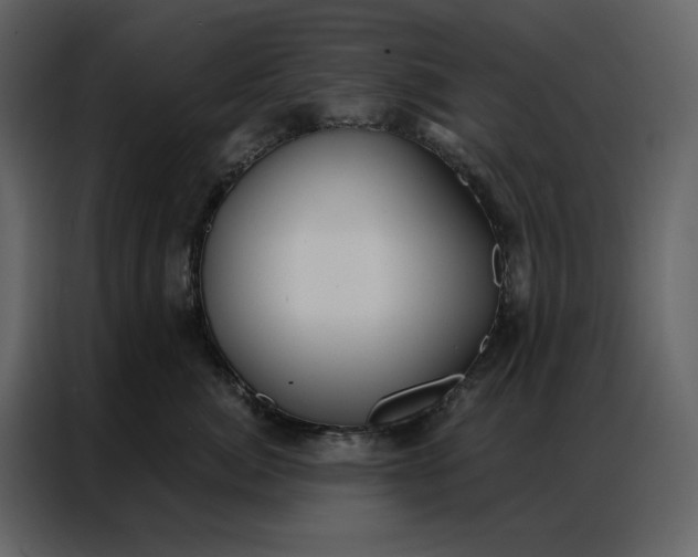 X0000086900764200705071243