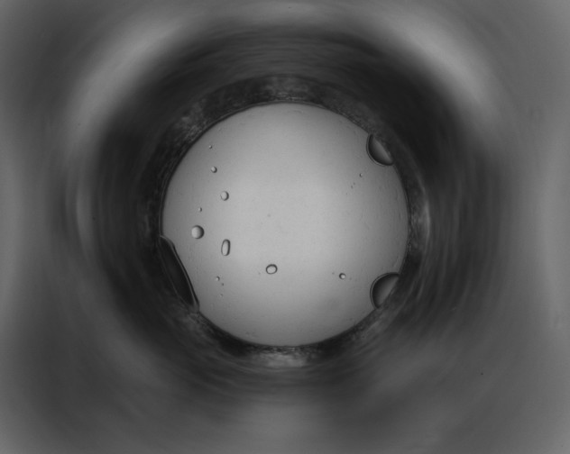 X0000086900765200705071243