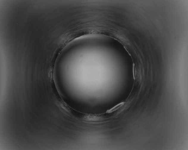 X0000086900766200705071243