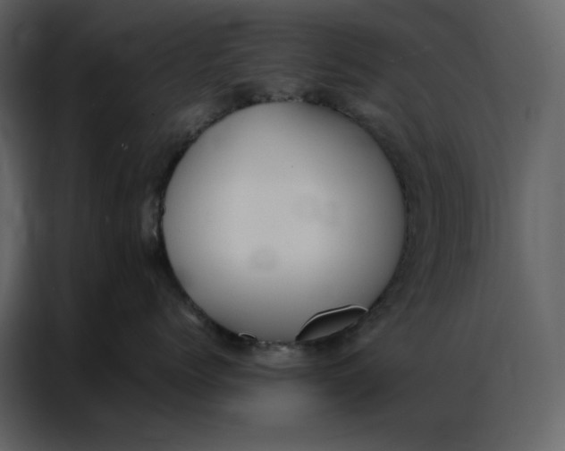 X0000086900768200705071243