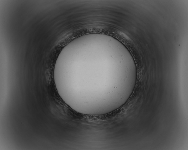 X0000086900774200705071242