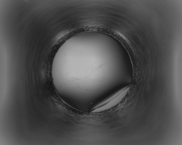 X0000086900775200705071242