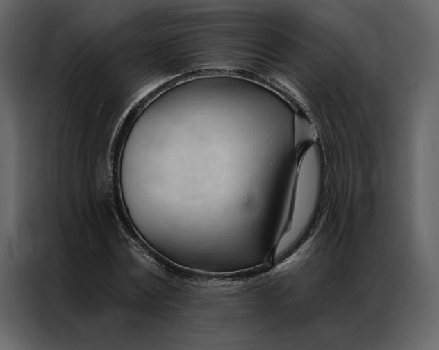 X0000086900779200705071242