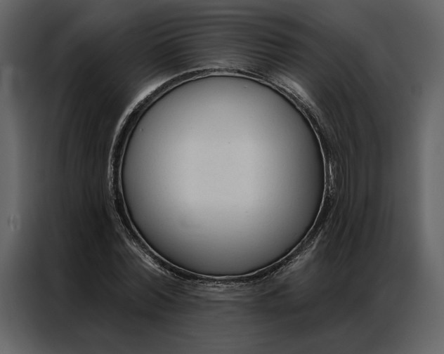 X0000086900780200705071242