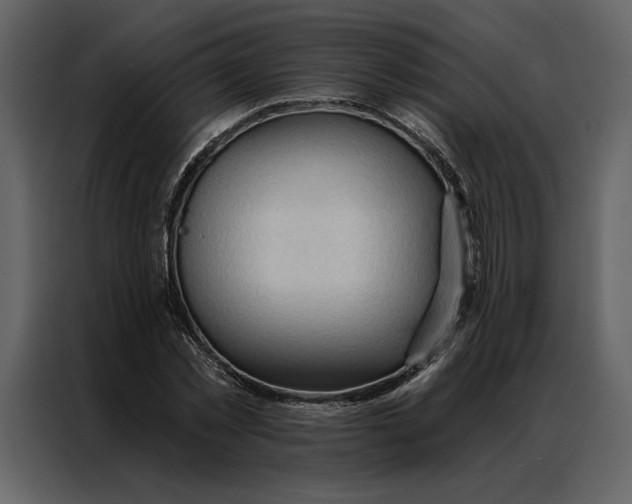 X0000086900781200705071242