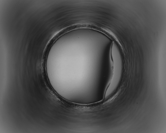 X0000086900783200705071242