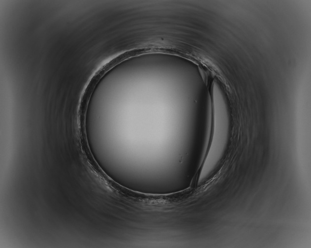 X0000086900784200705071242