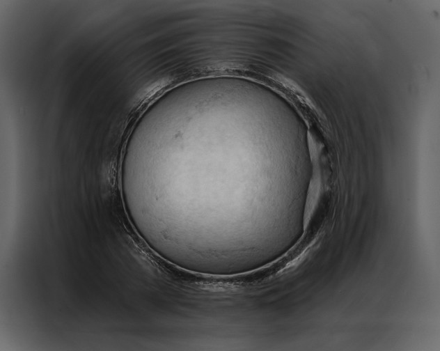 X0000086900785200705071242