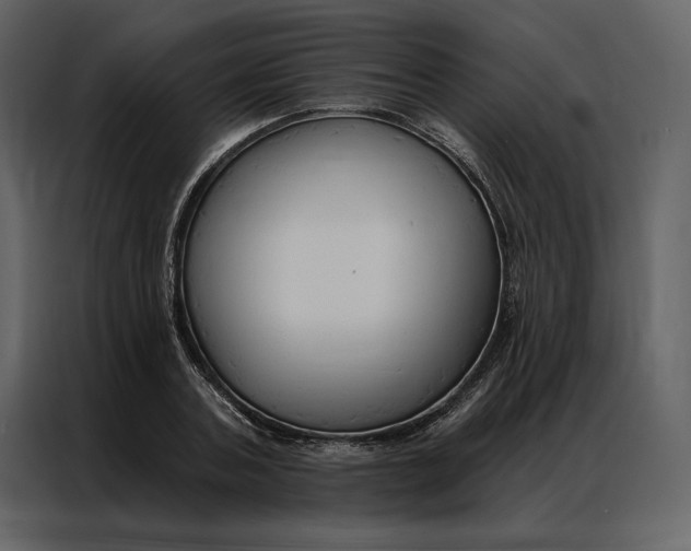 X0000086900787200705071242