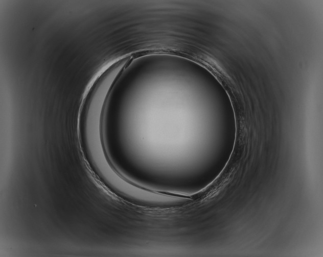 X0000086900788200705071242