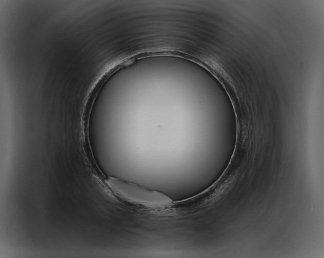 X0000086900789200705071242