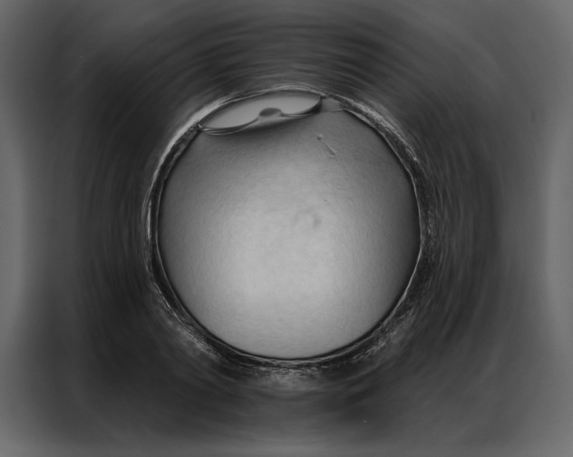 X0000086900790200705071242