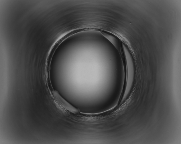 X0000086900792200705071242