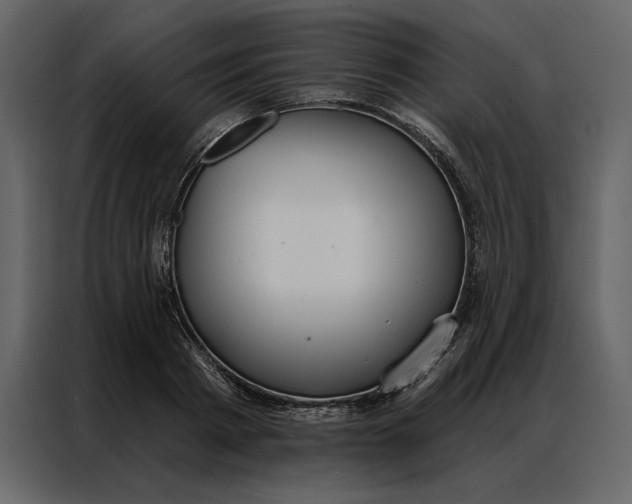 X0000086900793200705071242