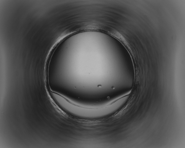 X0000086900795200705071242