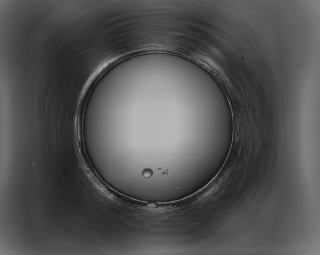 X0000086900796200705071242