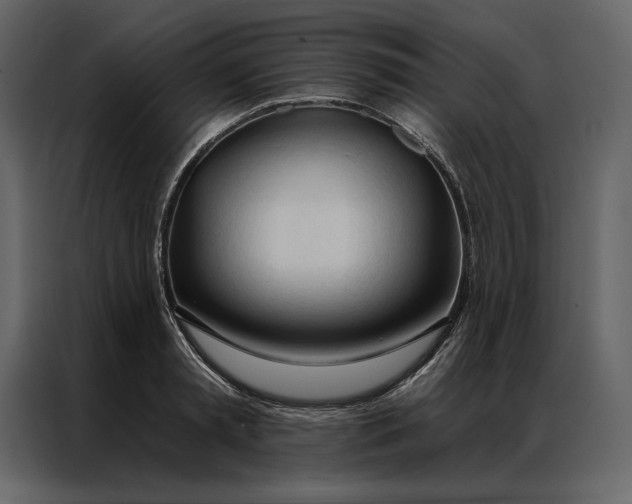 X0000086900797200705071242