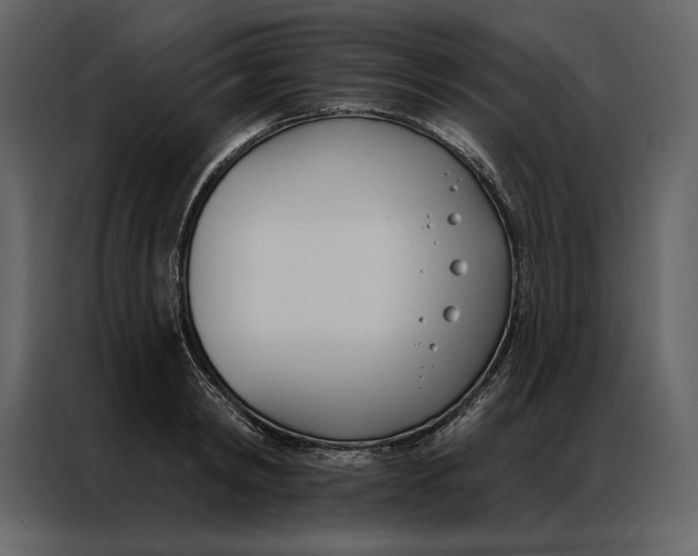 X0000086900798200705071242