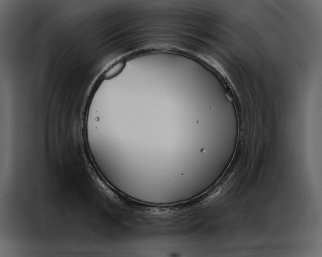 X0000086900799200705071242