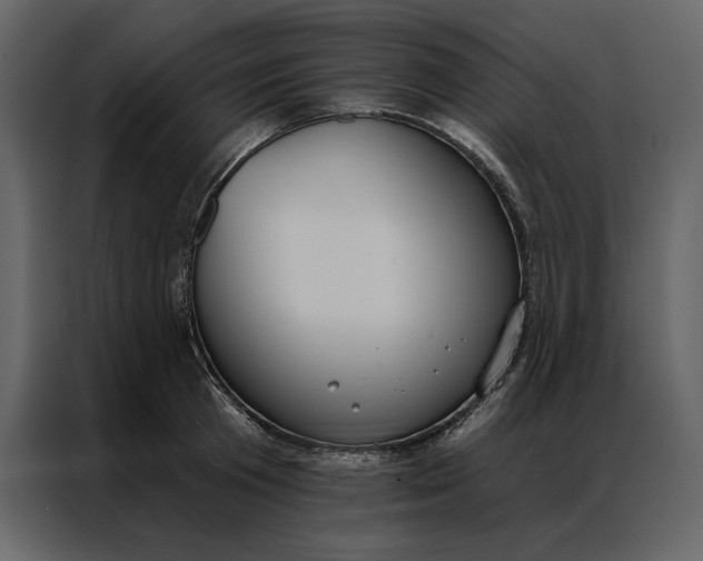 X0000086900801200705071242