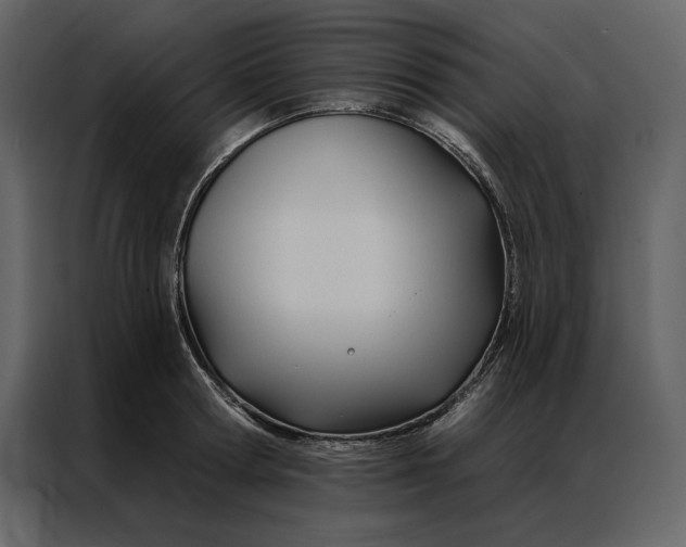 X0000086900802200705071242