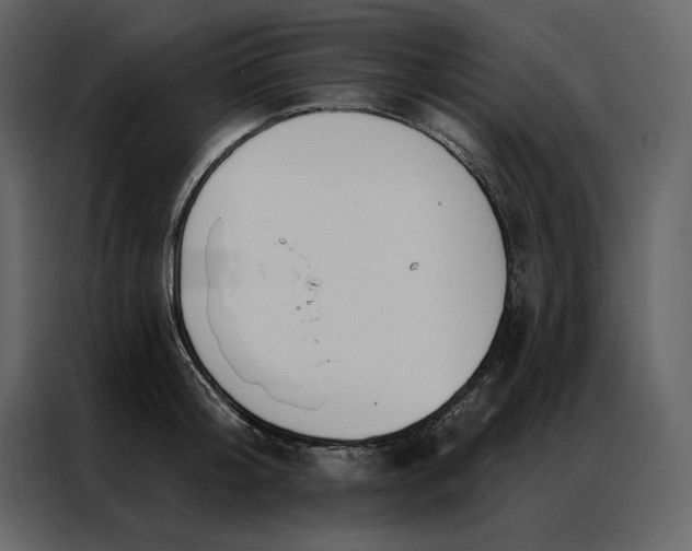 X0000086900804200705071242