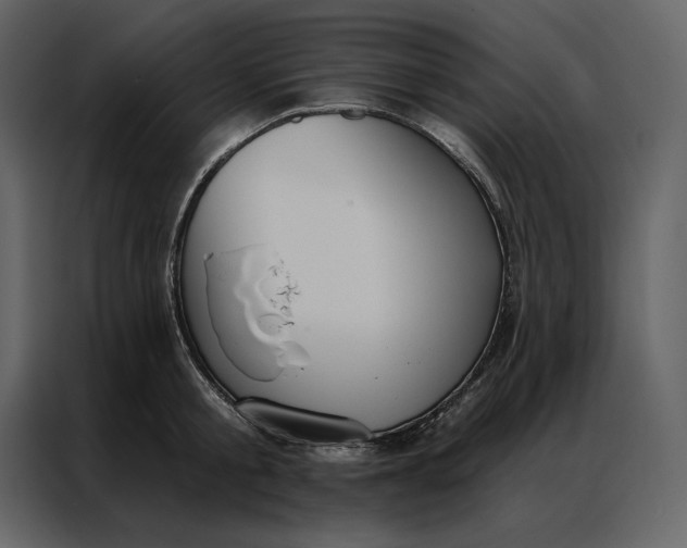 X0000086900805200705071242