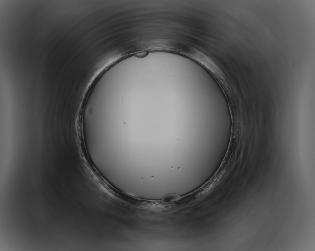 X0000086900806200705071242