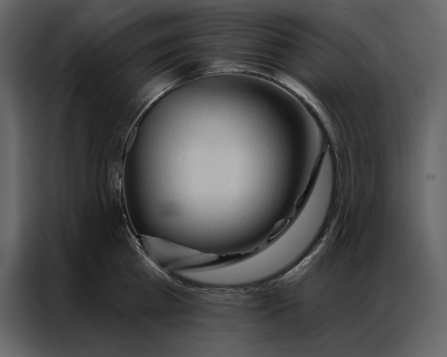 X0000086900809200705071242