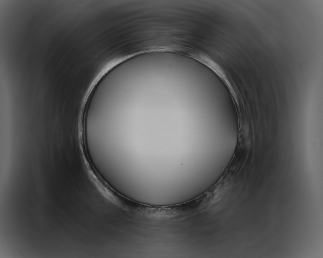 X0000086900811200705071242