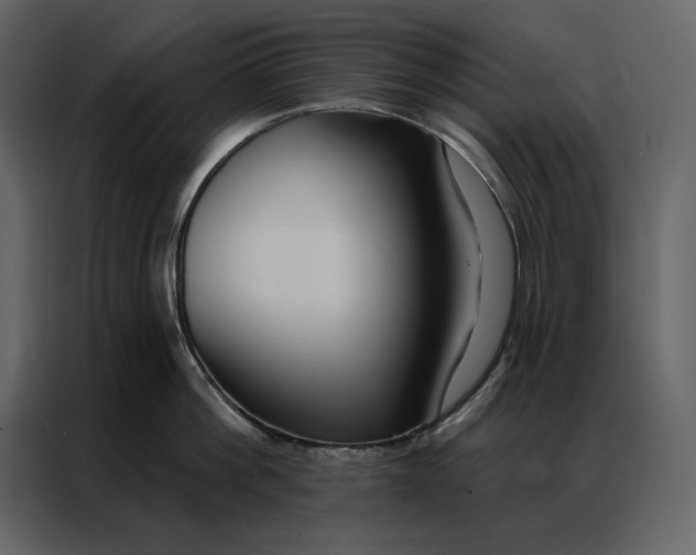 X0000086900812200705071242