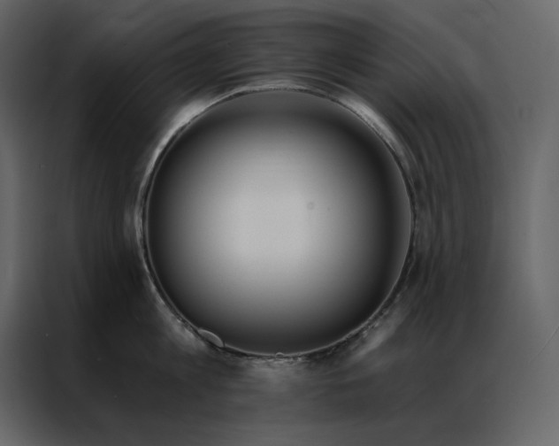 X0000086900813200705071242