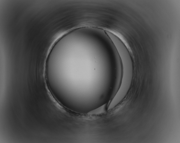 X0000086900815200705071242