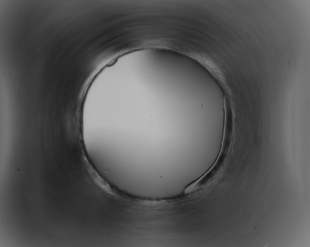 X0000086900816200705071242